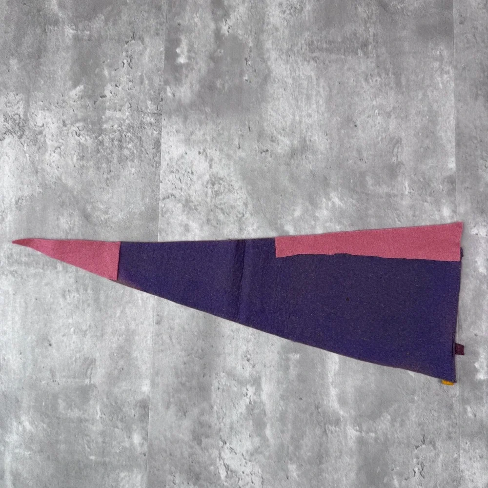 Vintage Charleston South Carolina Souvenir Pennant Flag Distressed Felt 1940s